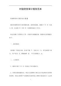 村级财务审计报告范本