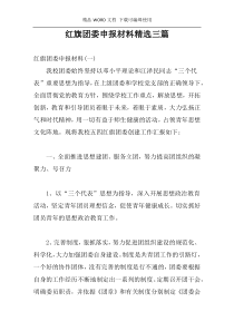 红旗团委申报材料精选三篇