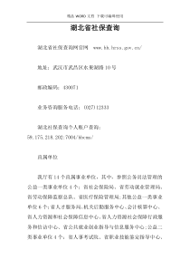 湖北省社保查询