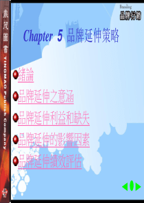 Chapter5品牌延伸策略