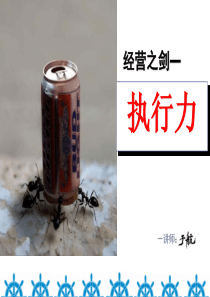 经营之剑—：执行力（PPT 98页）0228an