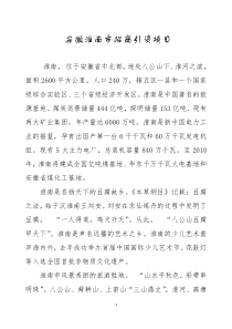 安徽淮南市招商引资项目