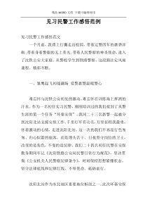 见习民警工作感悟范例