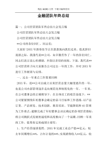 金融团队年终总结