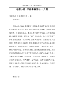 考察小结 干部考察评价十六篇