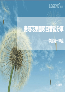 贵阳花果园项目营销分享