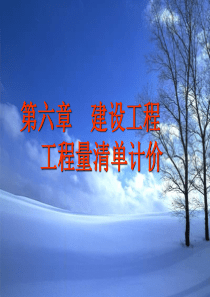 第六章----第一节--(改)工程量清单计价规范