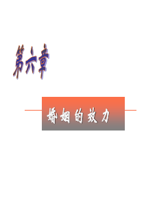 《婚姻的效力》PPT课件