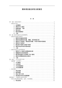 贵阳项目综合评价分析报告(1)