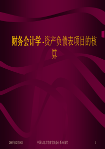 资产负债表项目的核算