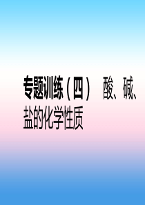 2018-2019学年九年级化学下册 第八章 常见的酸、碱、盐 专题训练（四）酸、碱、盐的化学性质同