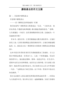 磨练意志的作文五篇