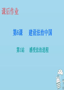 2018-2019学年九年级道德与法治上册 第3单元 推进政治文明 第6课 建设法治中国 第1站 感