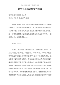 青年干部培训班学习心得