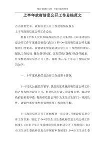 上半年政府信息公开工作总结范文