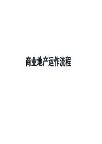 知名商业地产运作流程(PPT37页)