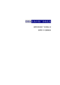 IDEA东海岸推广策略提案