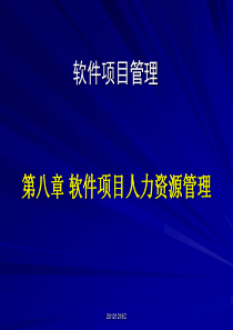 软件项目人力资源管理