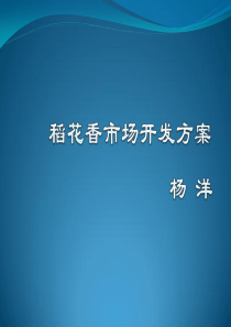 稻花香北京市场运作方案