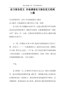 实习报告范文 市场调查实习报告范文范例三篇