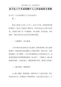 实习生三个月试用期个人工作总结范文范例