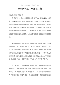 市政新员工入职感悟二篇