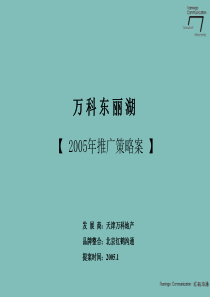 lake_二期推广策略案