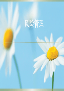 《风险管理培训》PPT课件