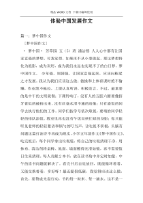 体验中国发展作文