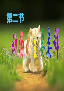 动物的主要类群(鱼类及两栖类、鸟类课件