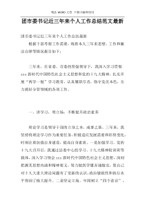 团市委书记近三年来个人工作总结范文最新