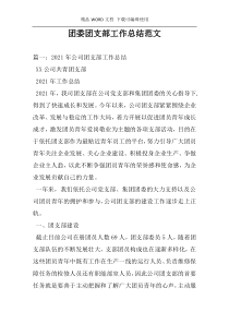 团委团支部工作总结范文