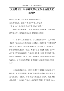 文旅局2021半年意识形态工作总结范文汇报范例