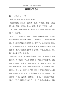 我不小了作文