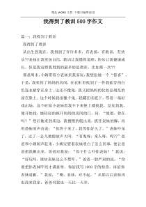 我得到了教训500字作文