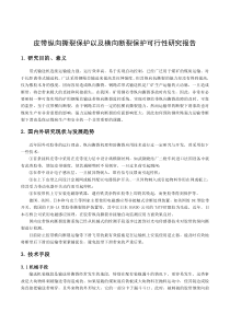 皮带纵向撕裂保护