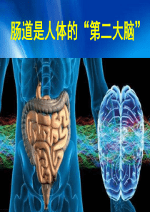 肠道是人的第二大脑