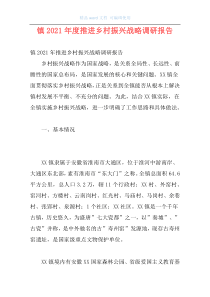 镇2021年度推进乡村振兴战略调研报告