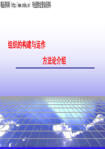 组织构建与运作方法论介绍(1)