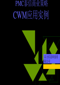 PMC泰信商业策略