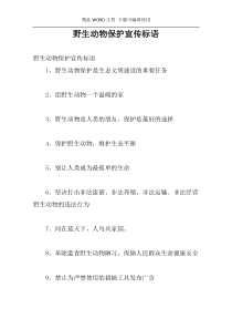 野生动物保护宣传标语