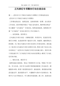 正风肃纪专项整治行动自查总结