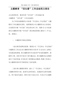 主题教育 “回头看”工作总结范文报告