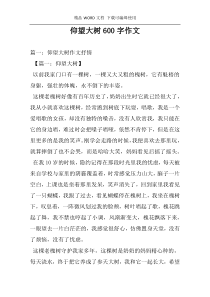 仰望大树600字作文