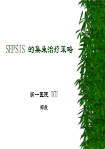 SEPSIS 的集束治疗策略