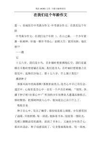 在我们这个年龄作文