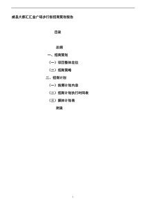 步行街招商业态组合及策划报告