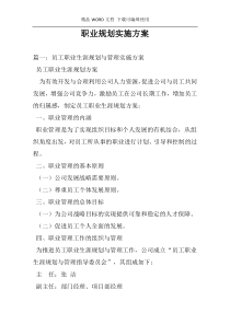 职业规划实施方案