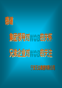 WOB战略报告(COPY)