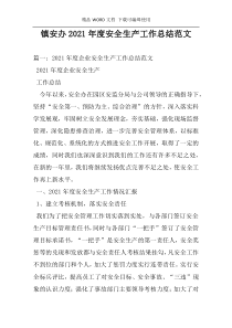 镇安办2021年度安全生产工作总结范文